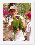 At the Zoo (4) * 576 x 768 * (96KB)